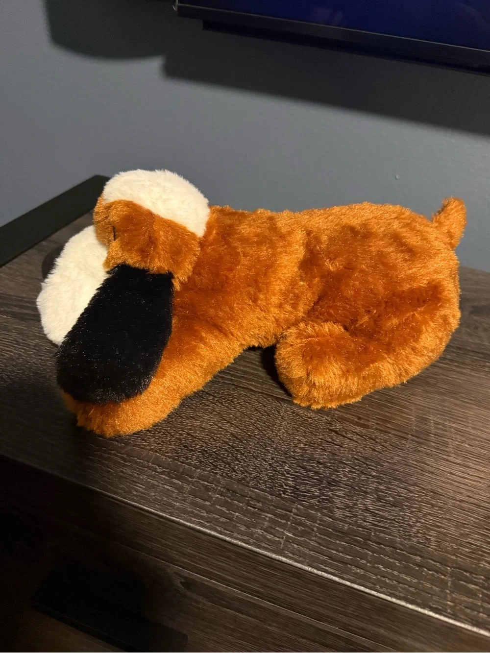 New Snuggle Puppy